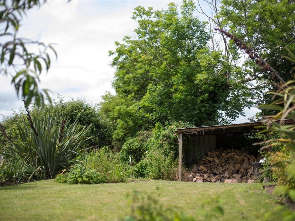 Eine rustikale Holzhütte mit einem Holzstapel im Inneren, umgeben von üppigem Grün und Bäumen.