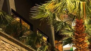 A building with a stone facade, palm trees, and a wooden bench. - Apollon Hotel (SARANDE)