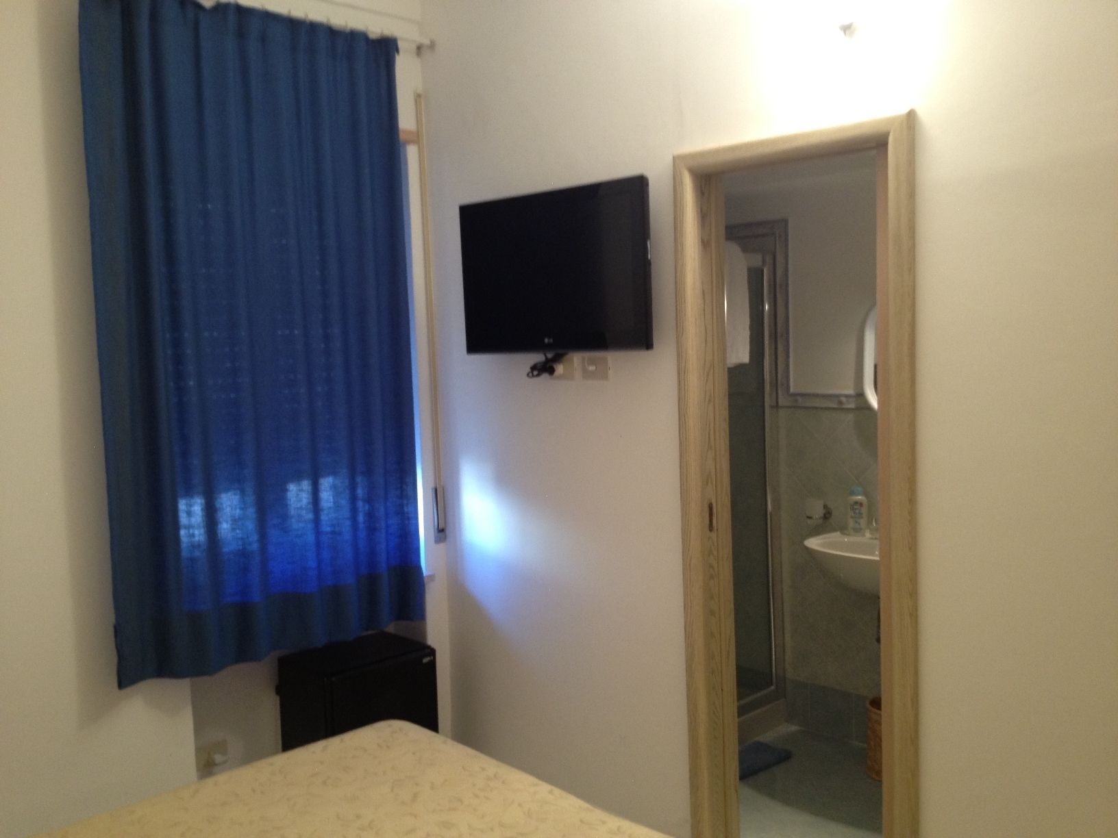 Une chambre comprenant un lit, un téléviseur fixé au mur, une salle de bain avec un lavabo et un miroir, et une douche.