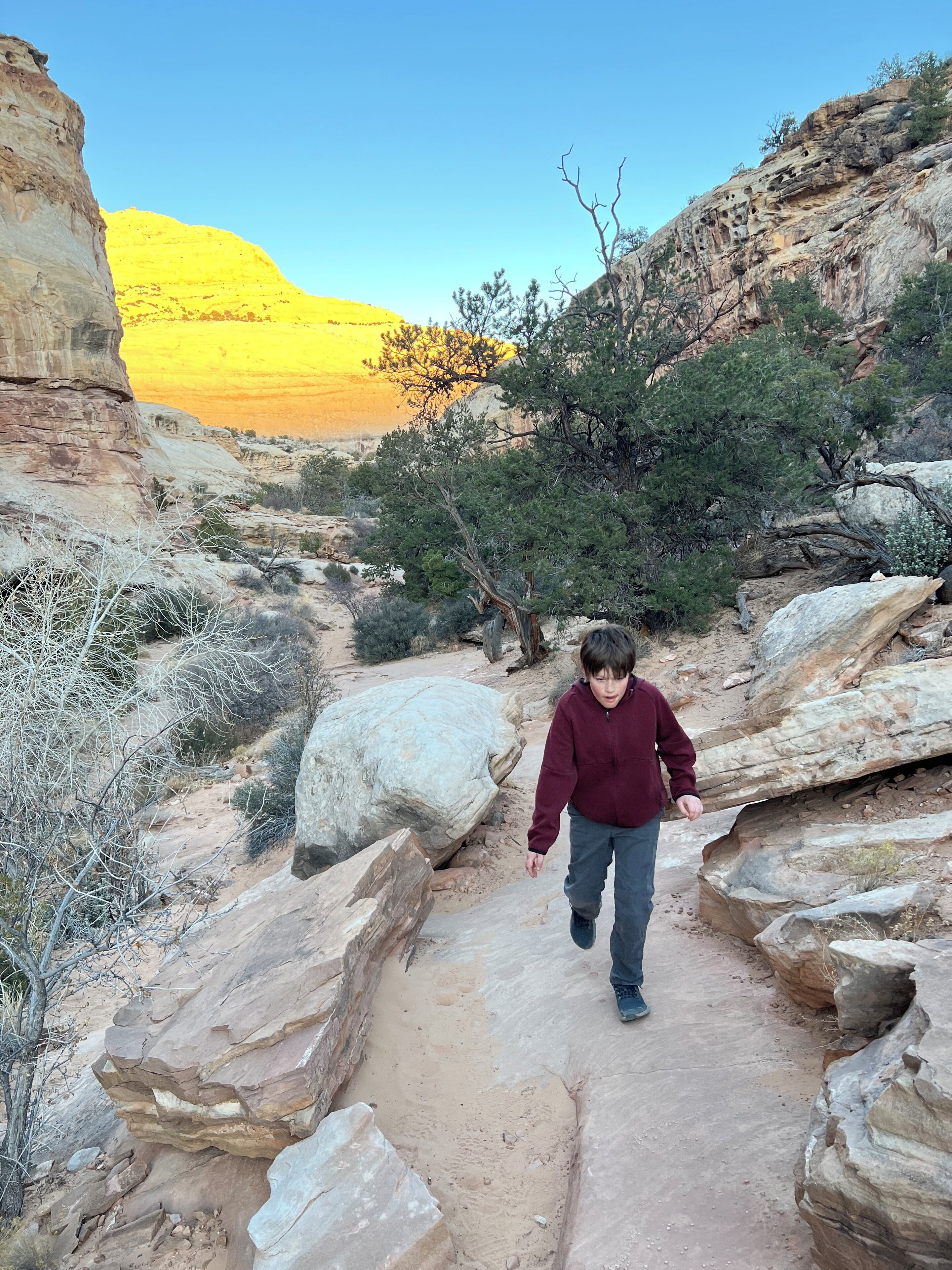 A person walking on a rocky path surrounded by desert vegetation and cliffs.