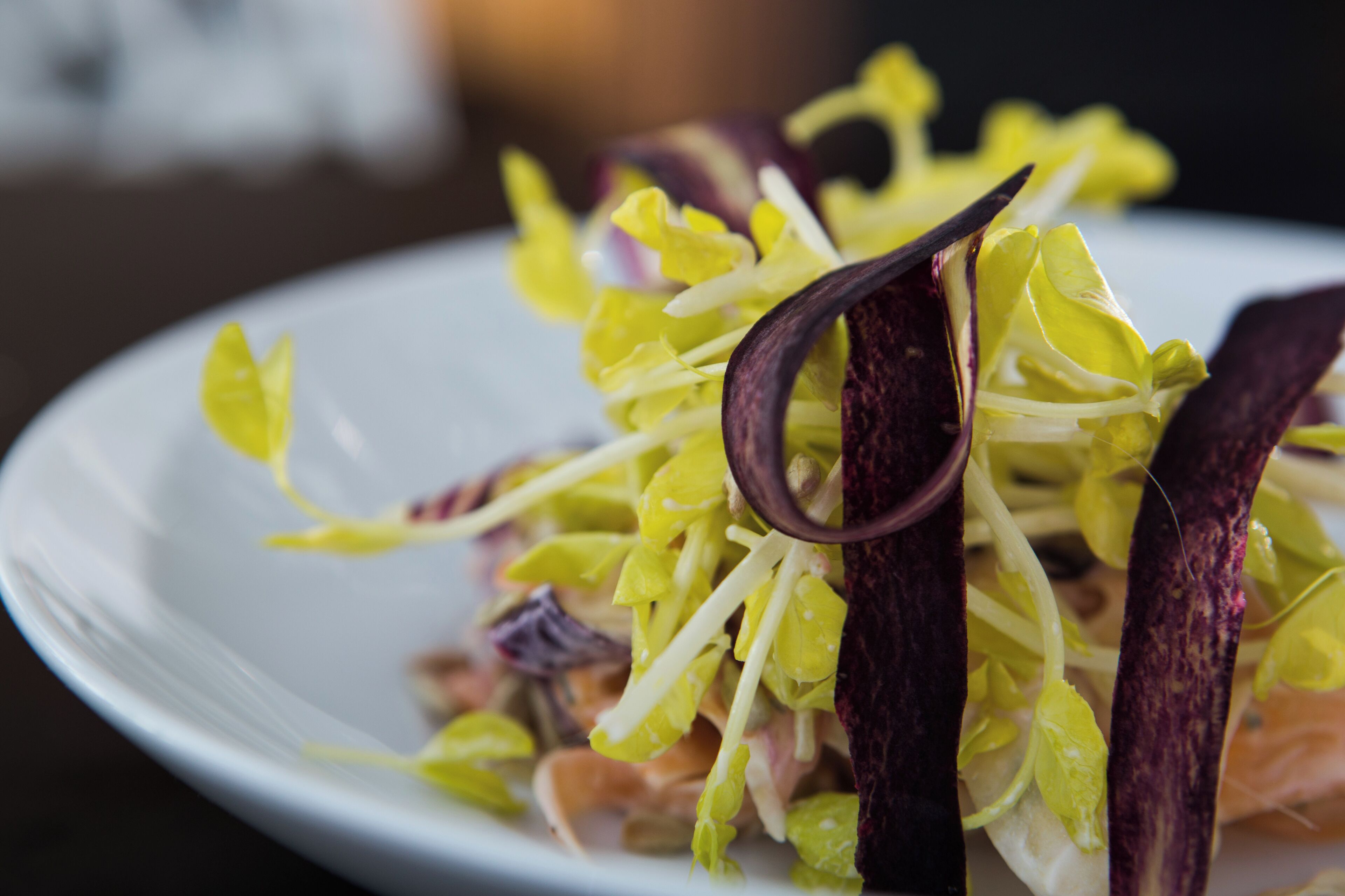 Un plato blanco con una ensalada de hojas amarillas y moradas, posiblemente achicoria y repollo morado, sobre una superficie oscura.