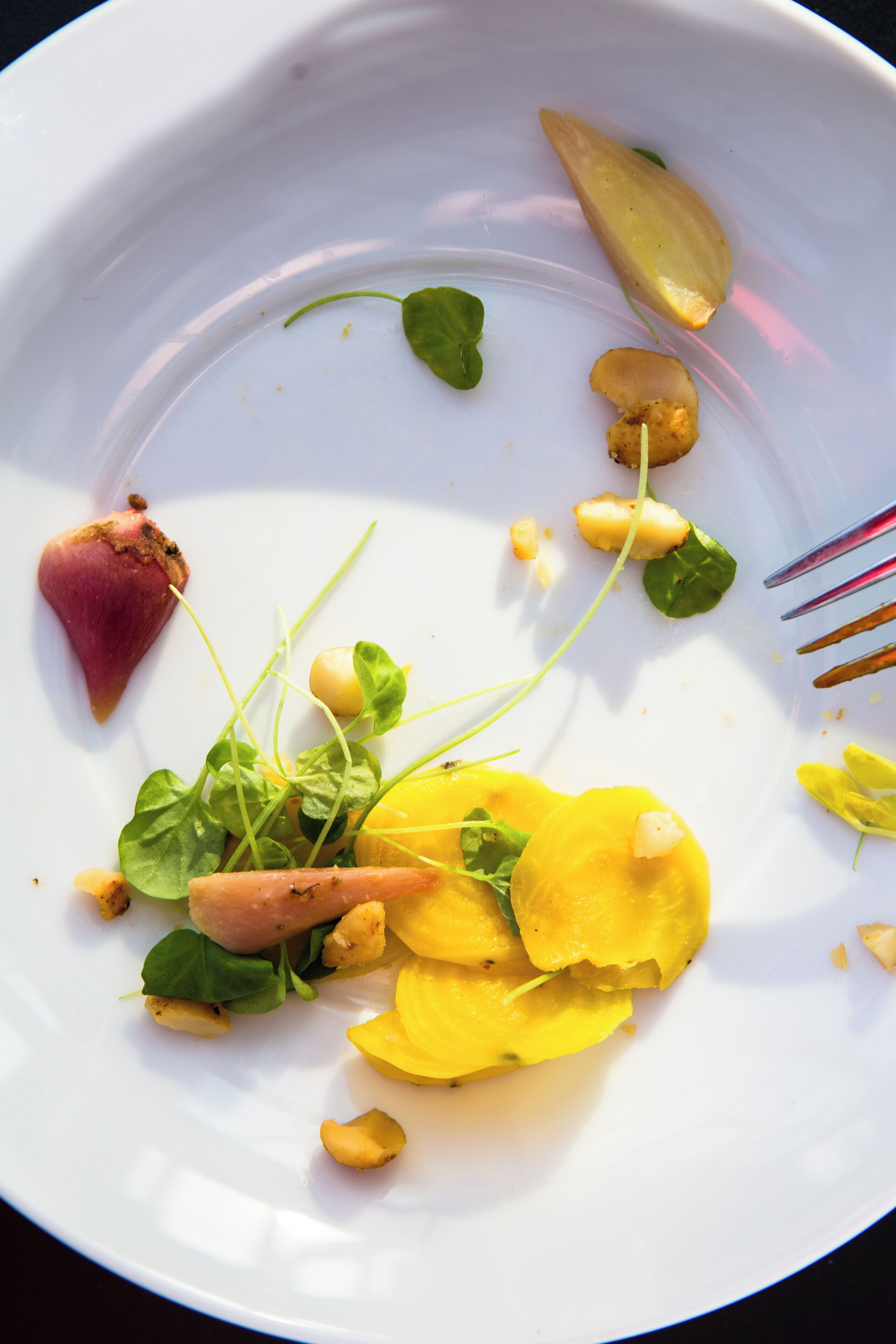 Un plato blanco con diversos alimentos, entre ellos vegetales verdes, rebanadas amarillas y un elemento rojo.
