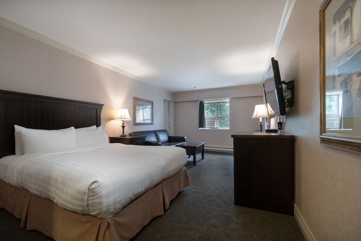 Studio, 1 queensize bed, patio | Een bureau, een laptopwerkplek, verduisterende gordijnen