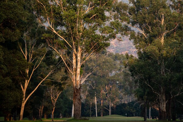 A park with mature trees and a well-maintained grassy area. - Wisemans Retreat (Wisemans Ferry)