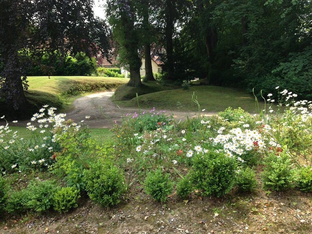 Un jardin avec un chemin de gravier, différentes plantes à fleurs et des arbres.