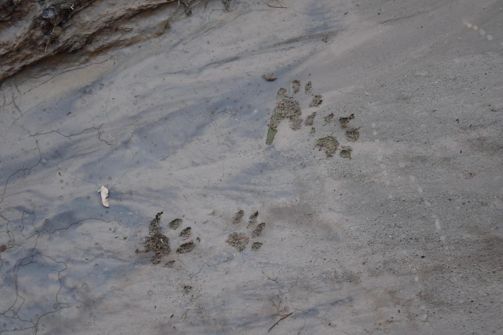 The INN of Escalante by null