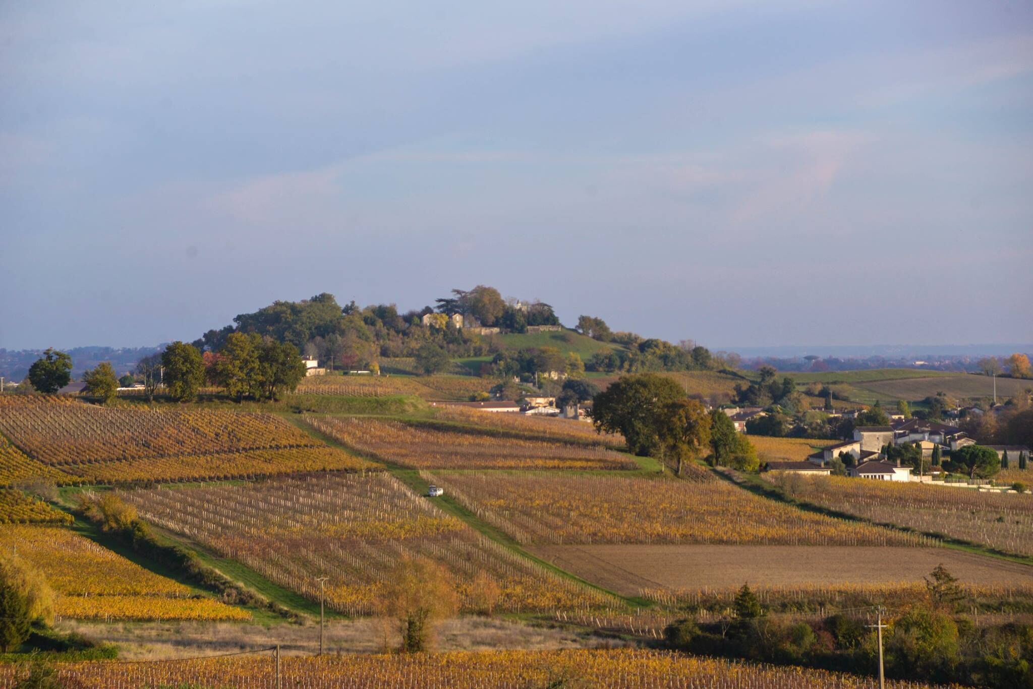 A vineyard landscape with terraced fields and a hilltop house.