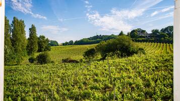 Doppia Superior, bagno privato, vista giardino | Esterni