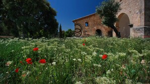 A historic building with a courtyard, surrounded by lush greenery and red poppies.