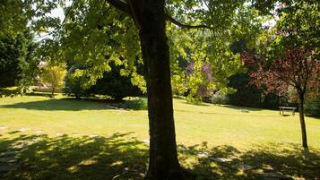 Un parco con un albero grande, una panchina e un prato curato.