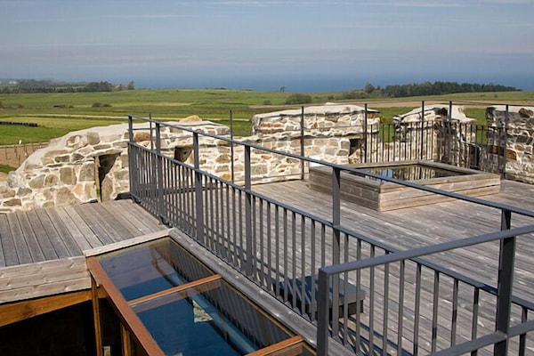 Suite | Terrace/patio