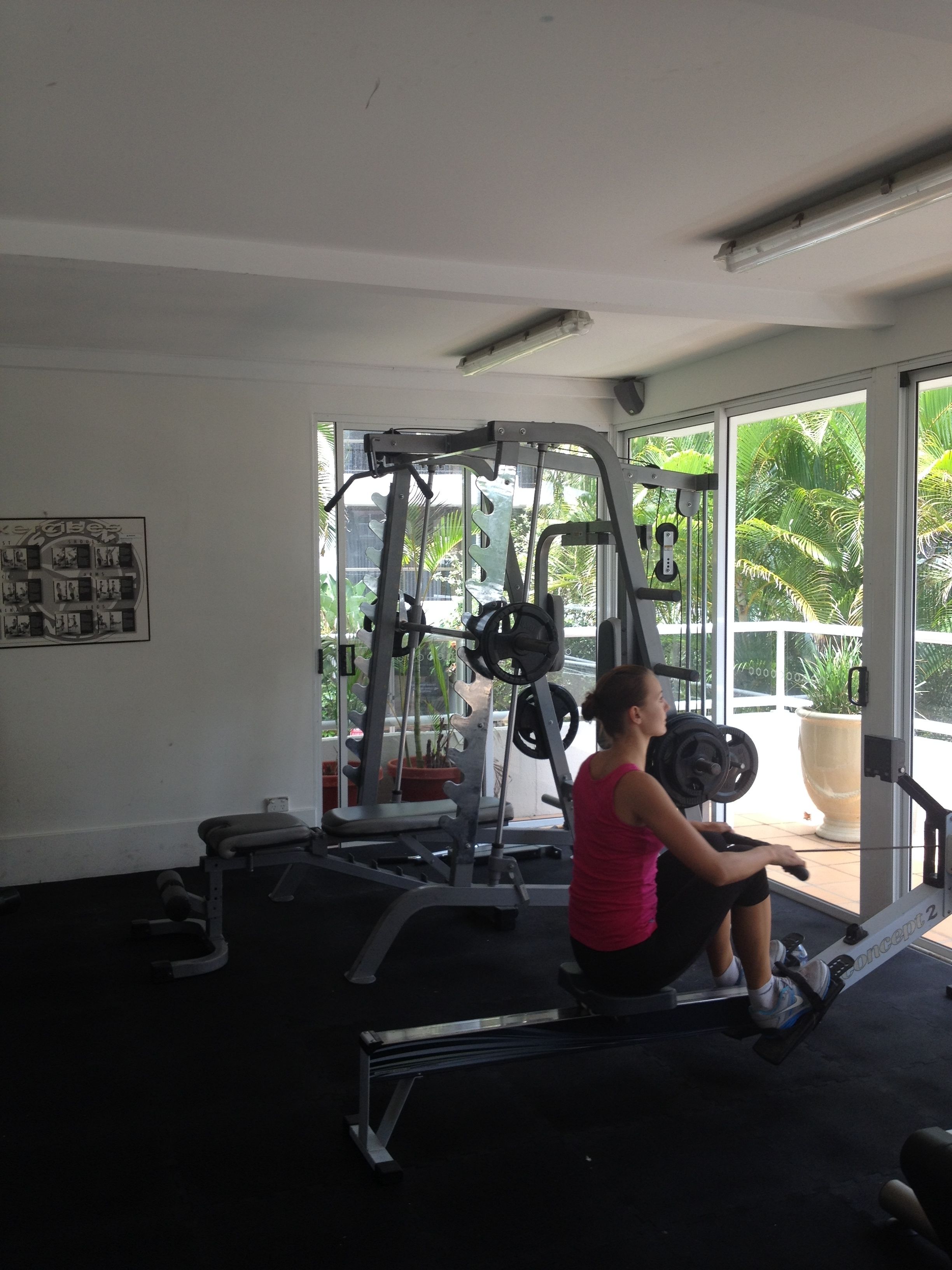 A gym with exercise equipment, a large window, and a potted plant.