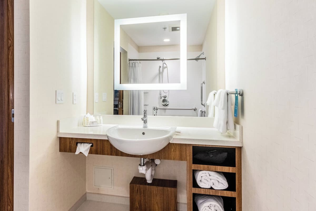 studio, 1 king bed with sofa bed | bathroom | shower, free toiletries, hair dryer, towels