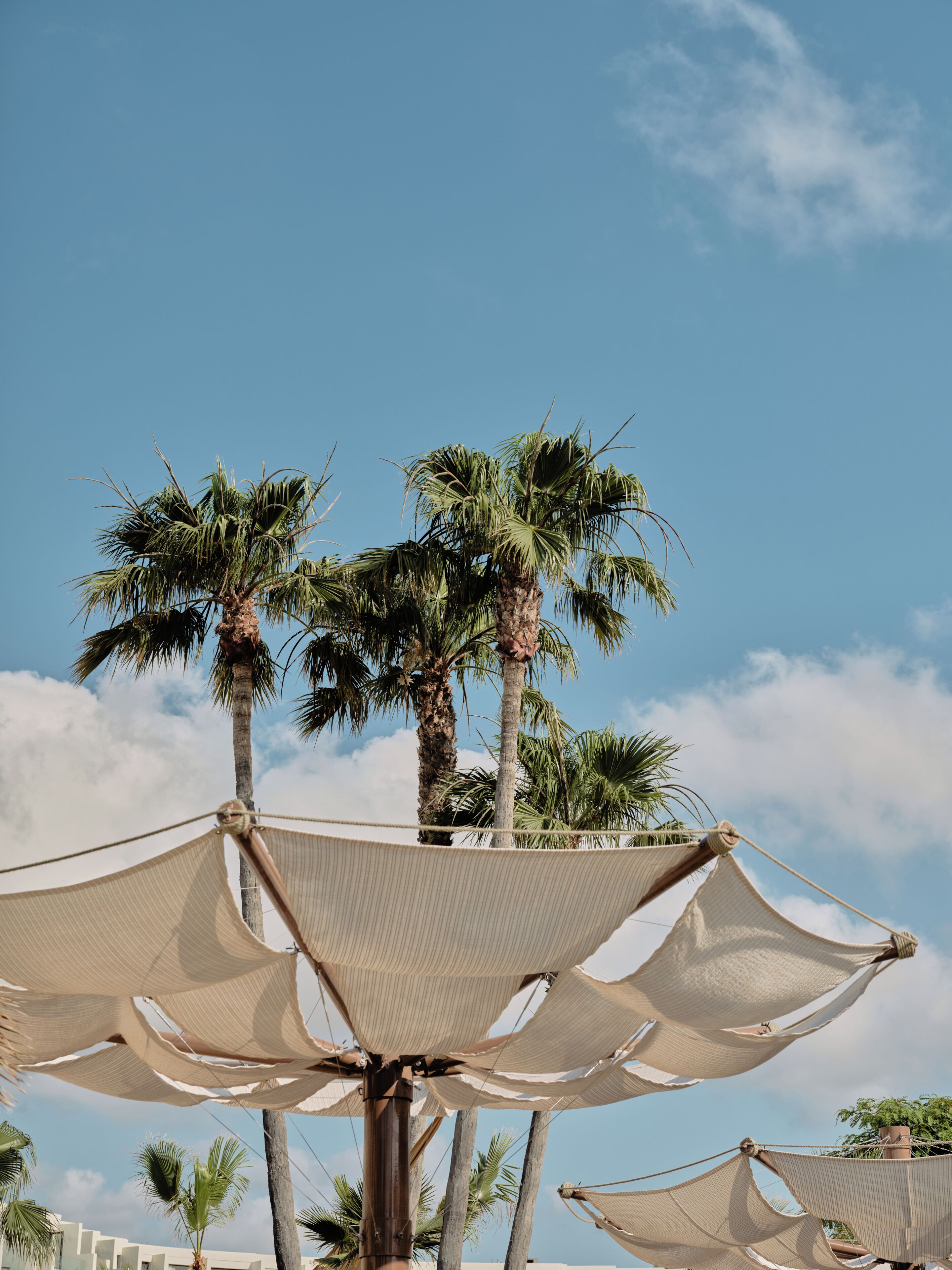 A beach umbrella structure with palm trees in the background.