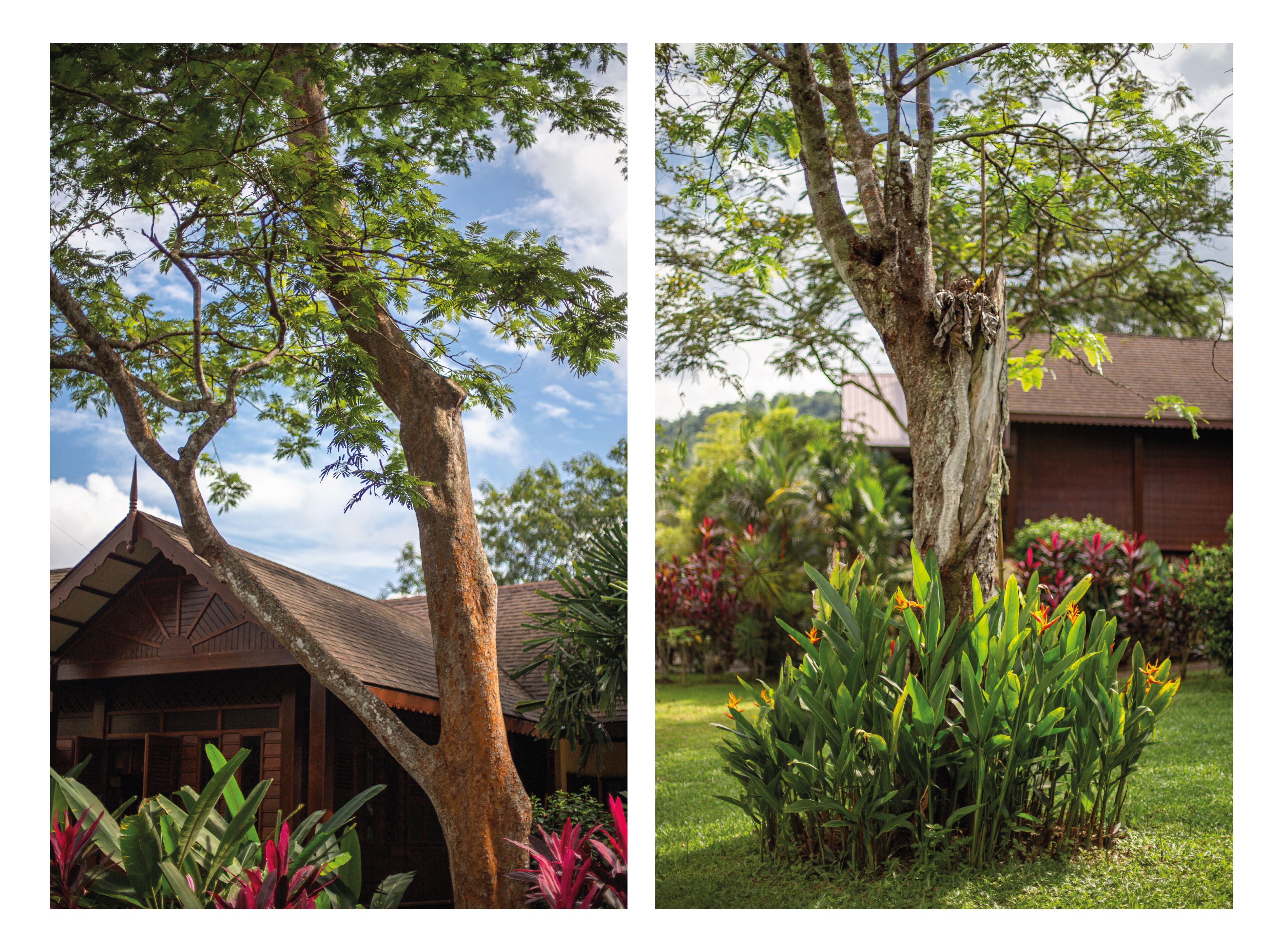 Photo - Sunset Valley Holiday Houses