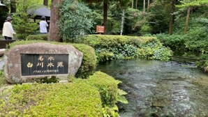 Un jardín tranquilo con una placa de piedra, un arroyo pequeño y abundante vegetación.