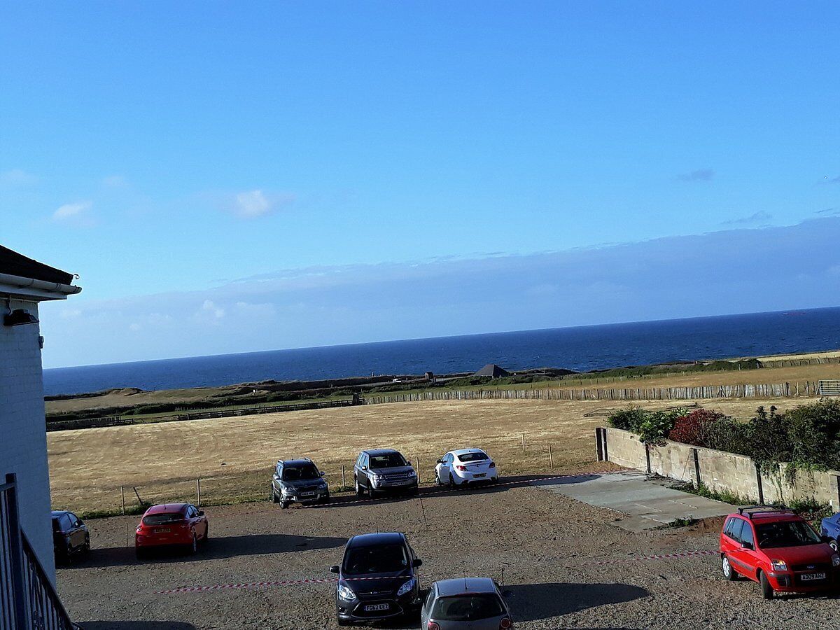 Free self-parking