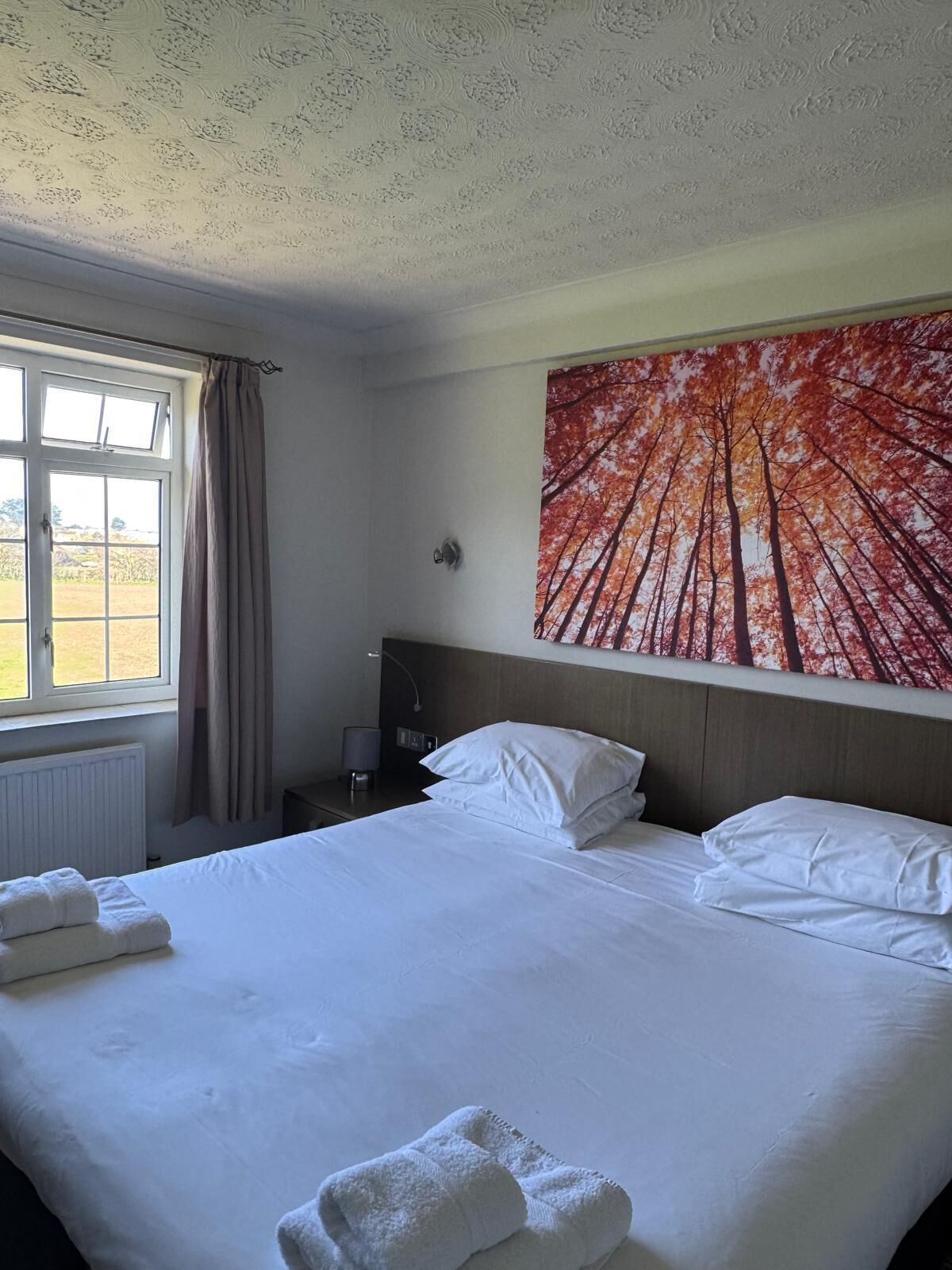 Chambre double | Literie de qualité, décor unique, ameublement unique