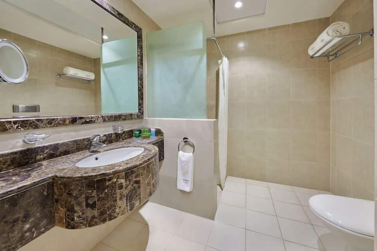Articles de tocador gratuïts, assecador de cabells, bidet i tovalloles