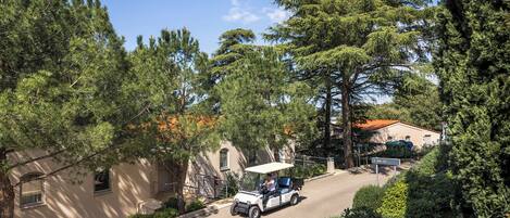 Un golf cart percorre una strada residenziale con case e alberi.