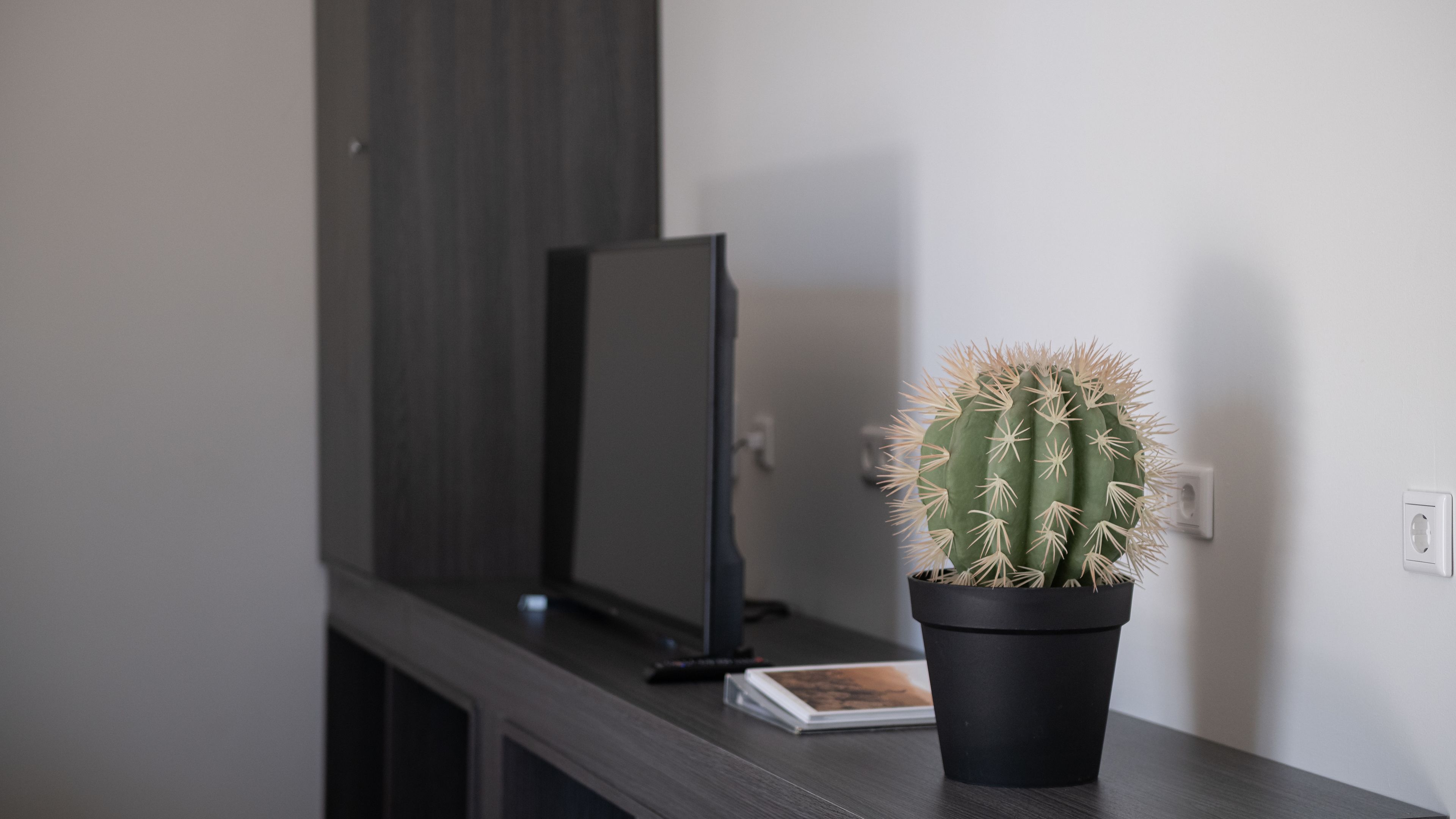 suite, pool view | television