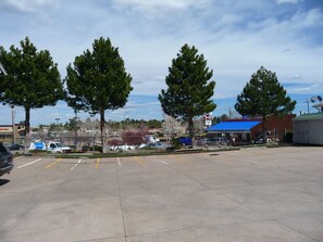 Khuôn viên nơi lưu trú