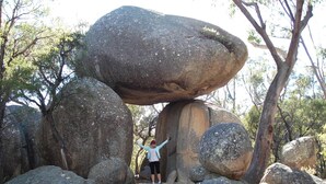 Property grounds - Boulevard Motel (Stanthorpe)
