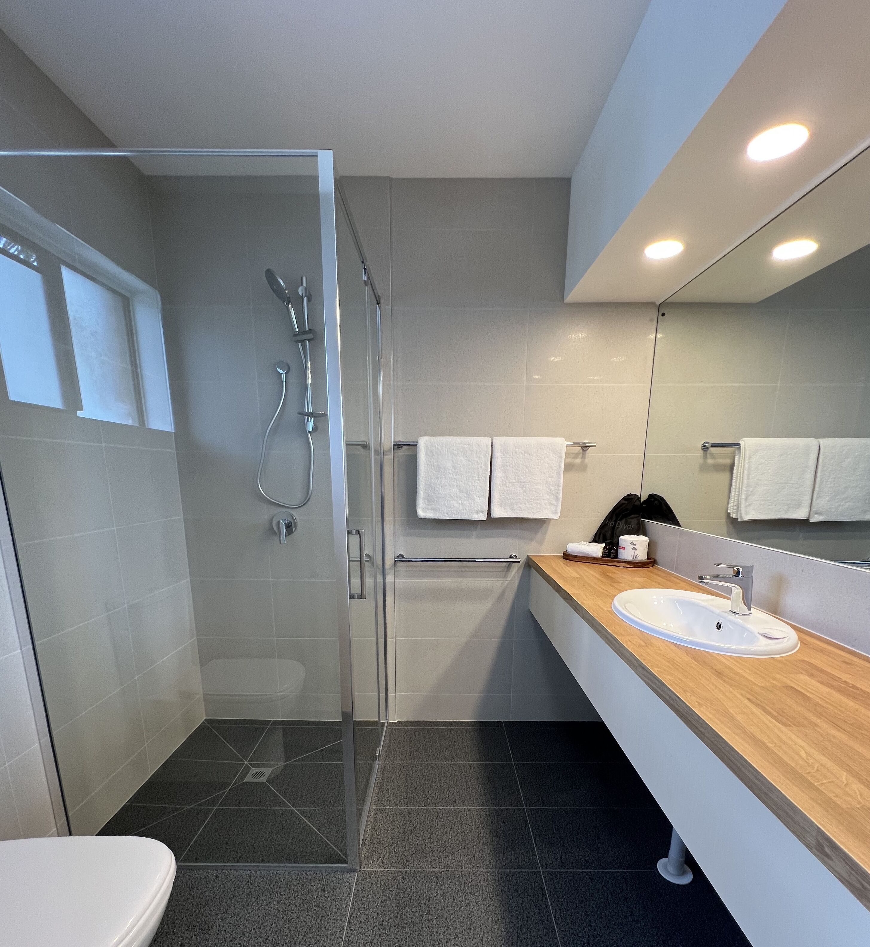 A modern bathroom with a glass-enclosed shower, a white sink, and a large mirror.