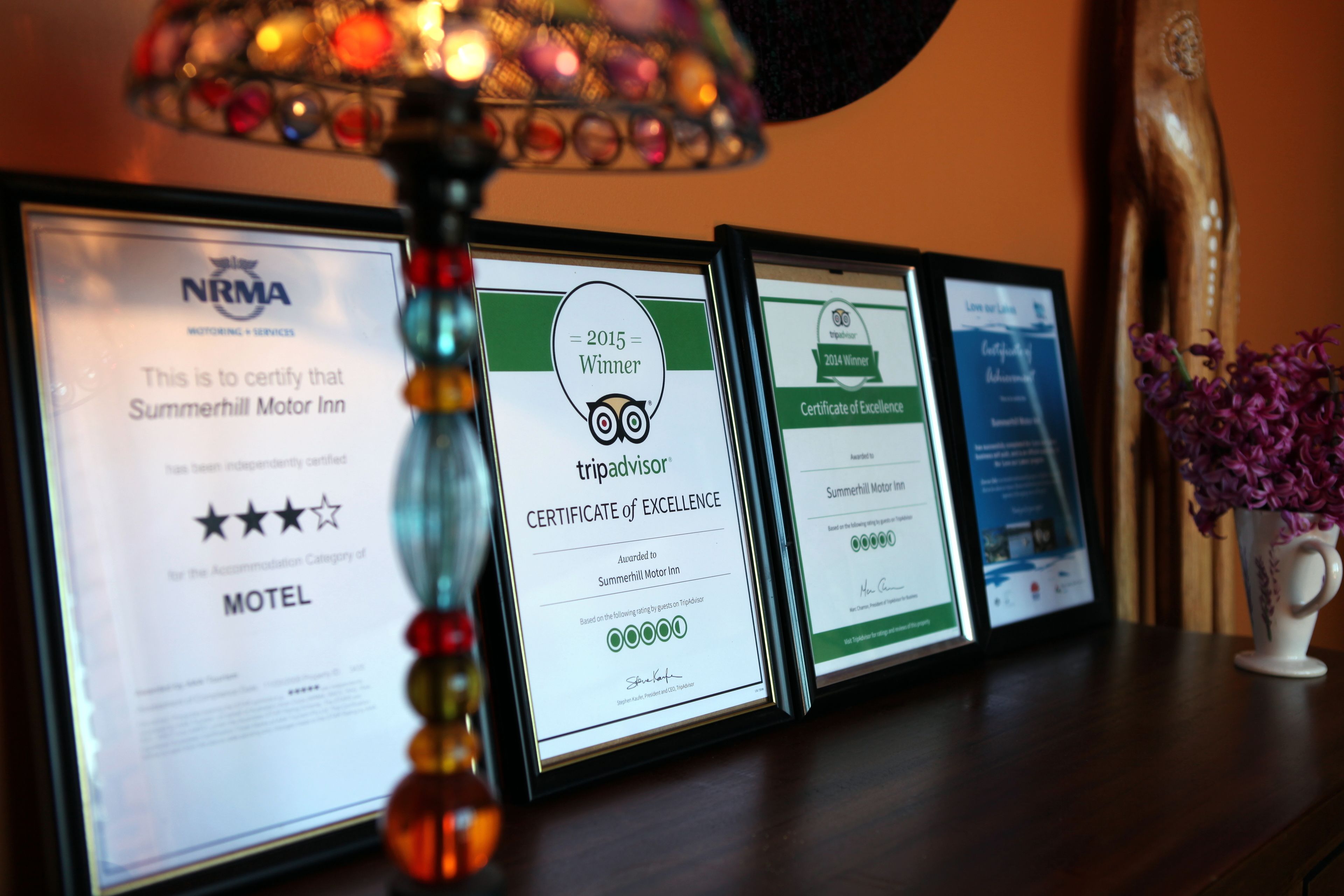 Des certificats encadrés attestant d’un niveau d’excellence sont posés sur une table en bois, avec une lampe et un vase de fleurs en arrière-plan.