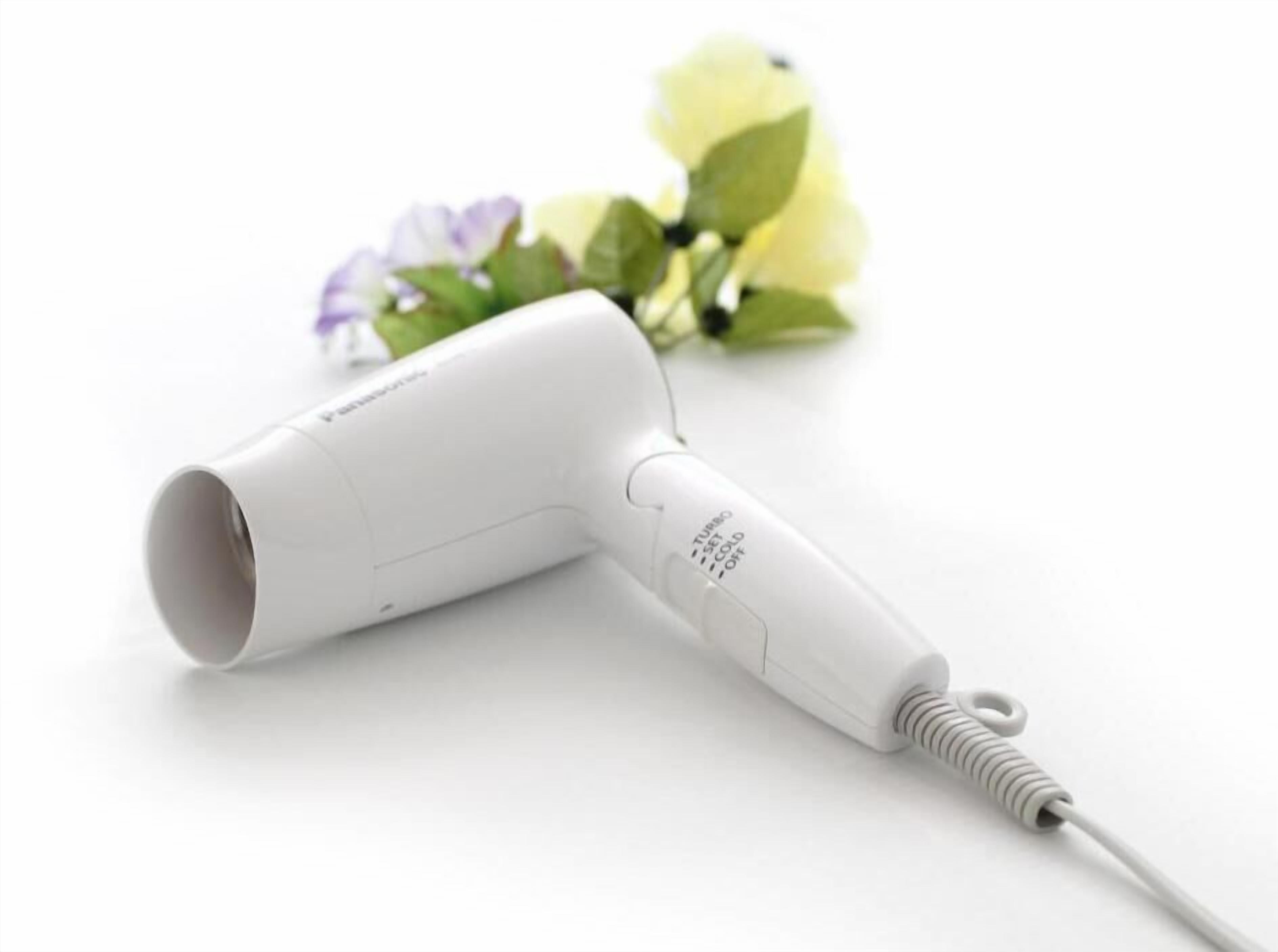 Bathroom amenities | Combined shower/bathtub, free toiletries, hair dryer, slippers