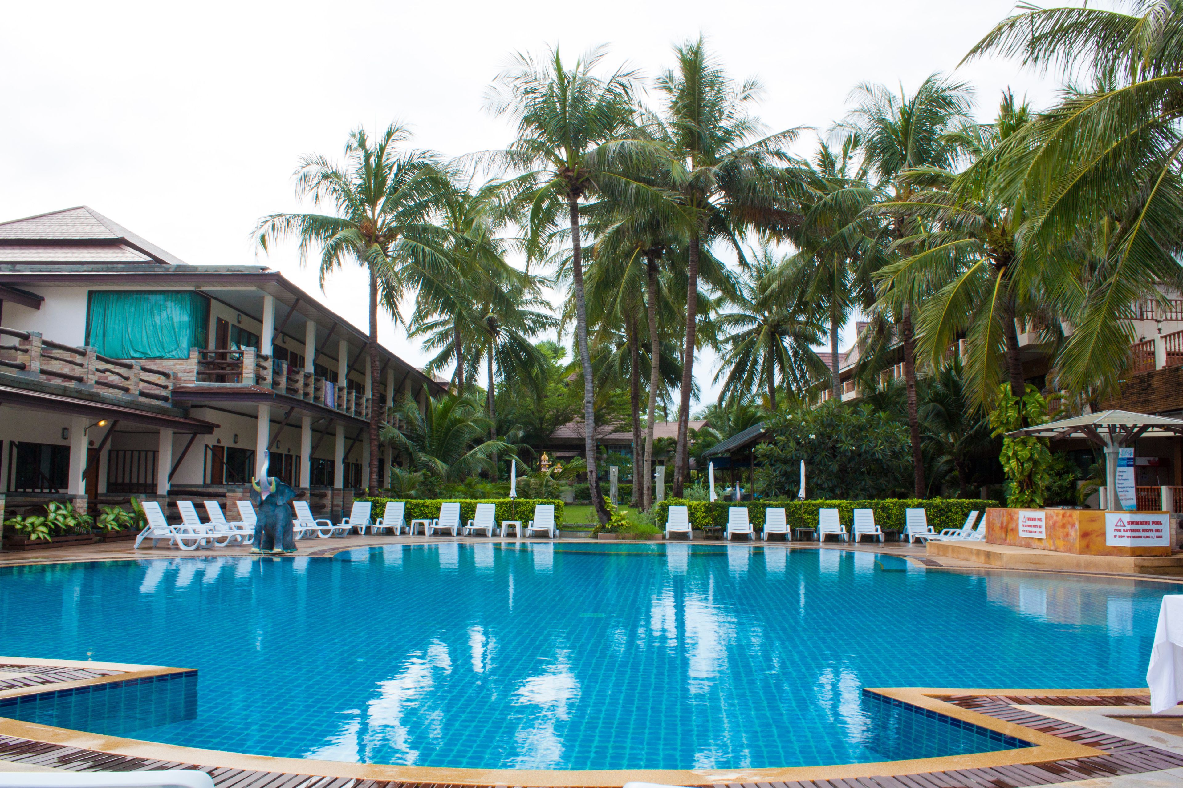 outdoor pool, pool umbrellas, pool loungers