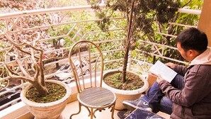 Un homme est assis sur un balcon, en train de lire un livre, avec des plantes en pot et une chaise à proximité.