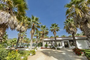 حيث تُقدم وجبات الإفطار، الغداء، العشاء، الأطباق المحلية