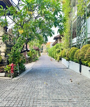 Front of property