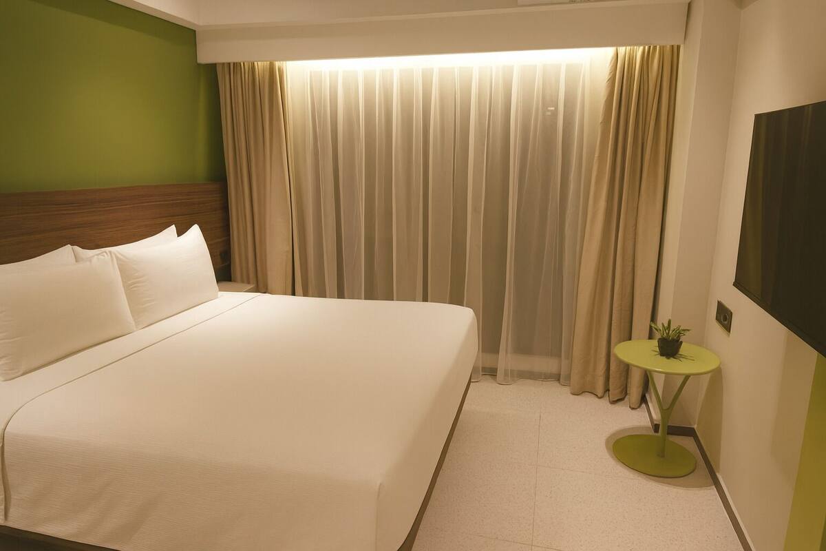 A hotel room with a large bed, a small round table with a plant, and a TV on the wall.