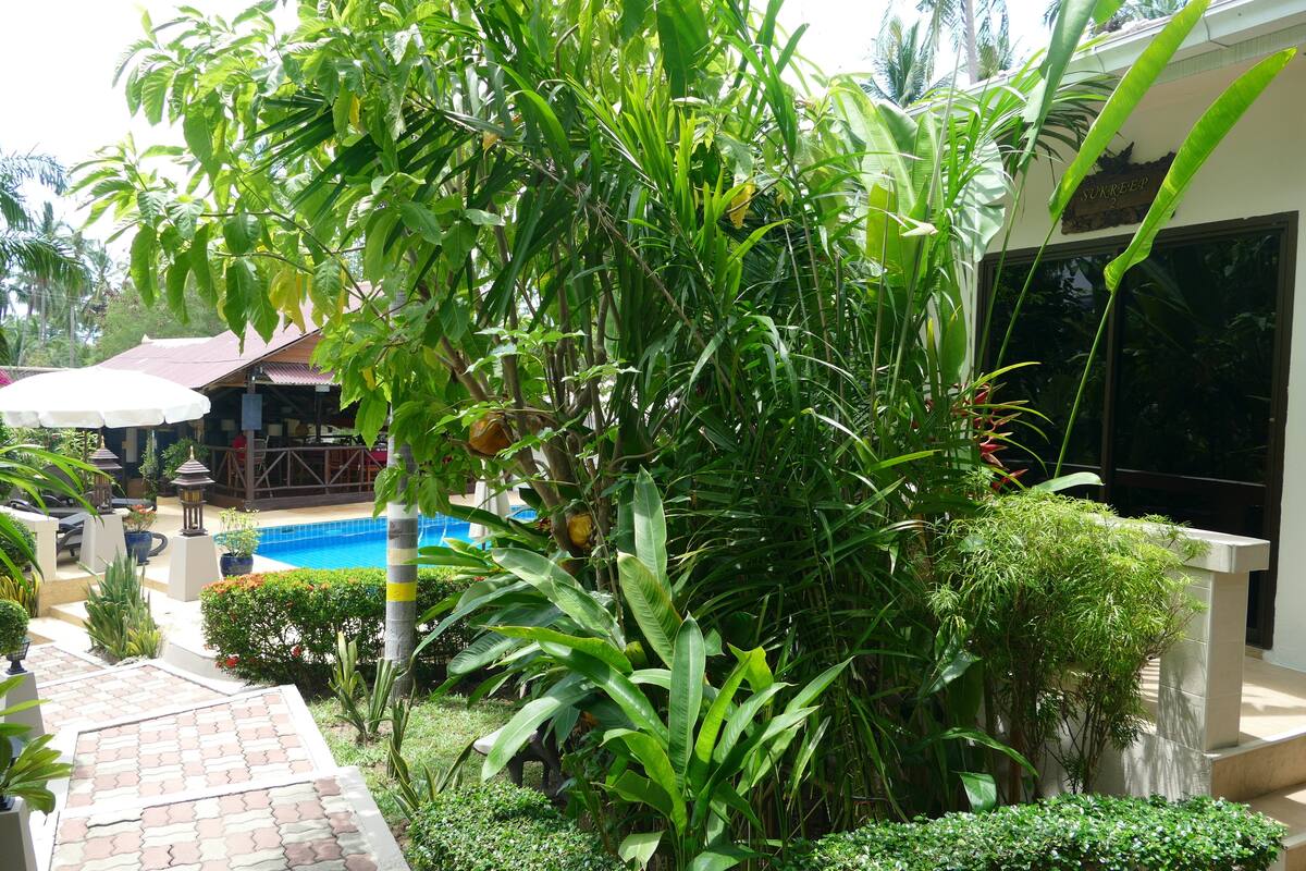 A poolside area with a tiled walkway, lush greenery, and a sign reading "SUKREEP".