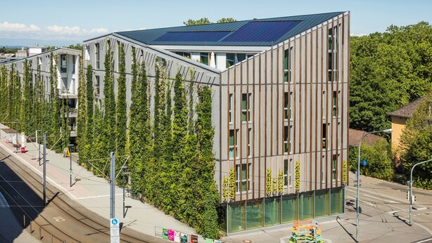 Un edificio moderno con techo inclinado, ventanas amplias y una pared verde.