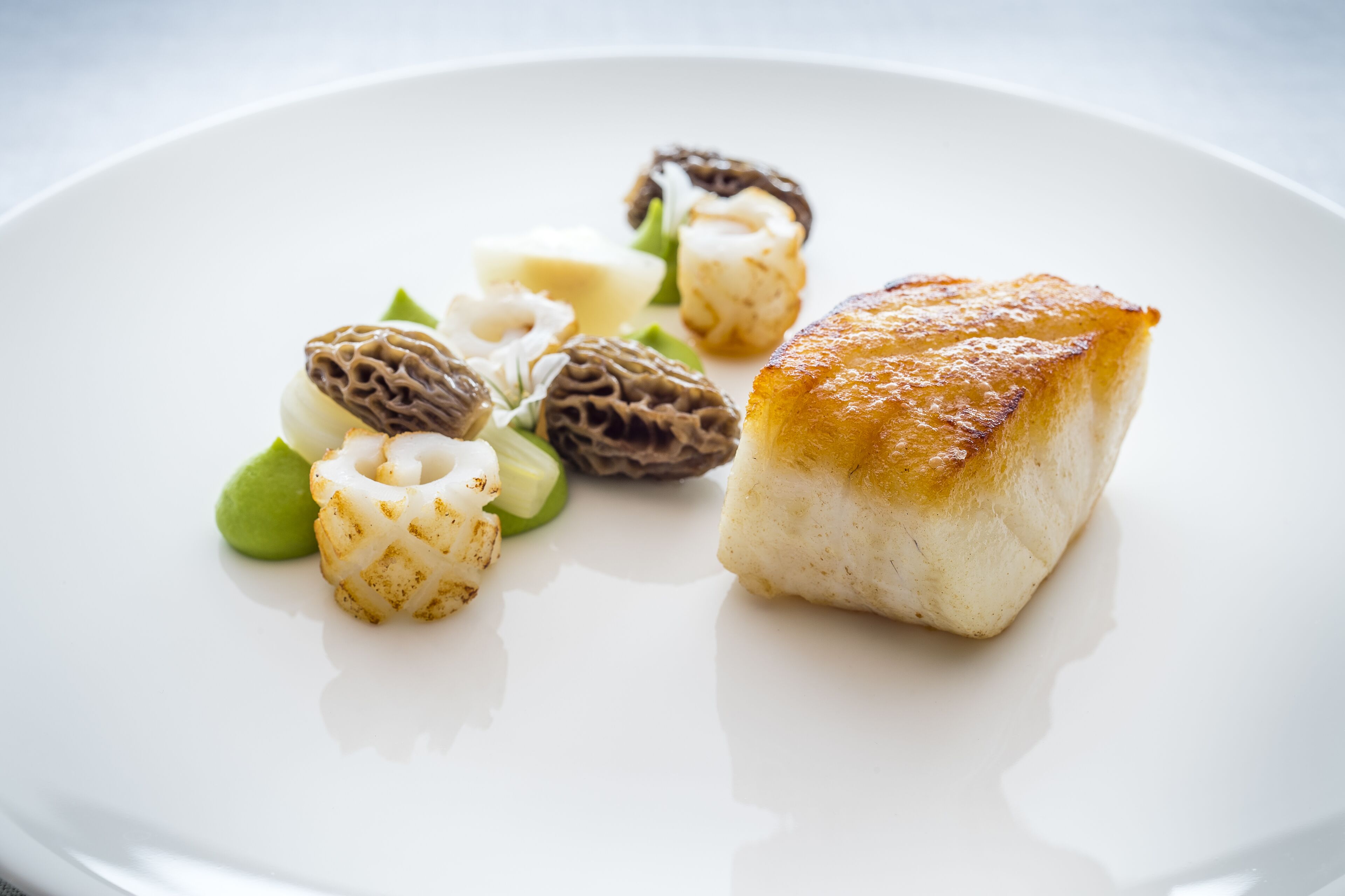 A white plate with a piece of food, possibly a dessert, accompanied by some greens and morels.