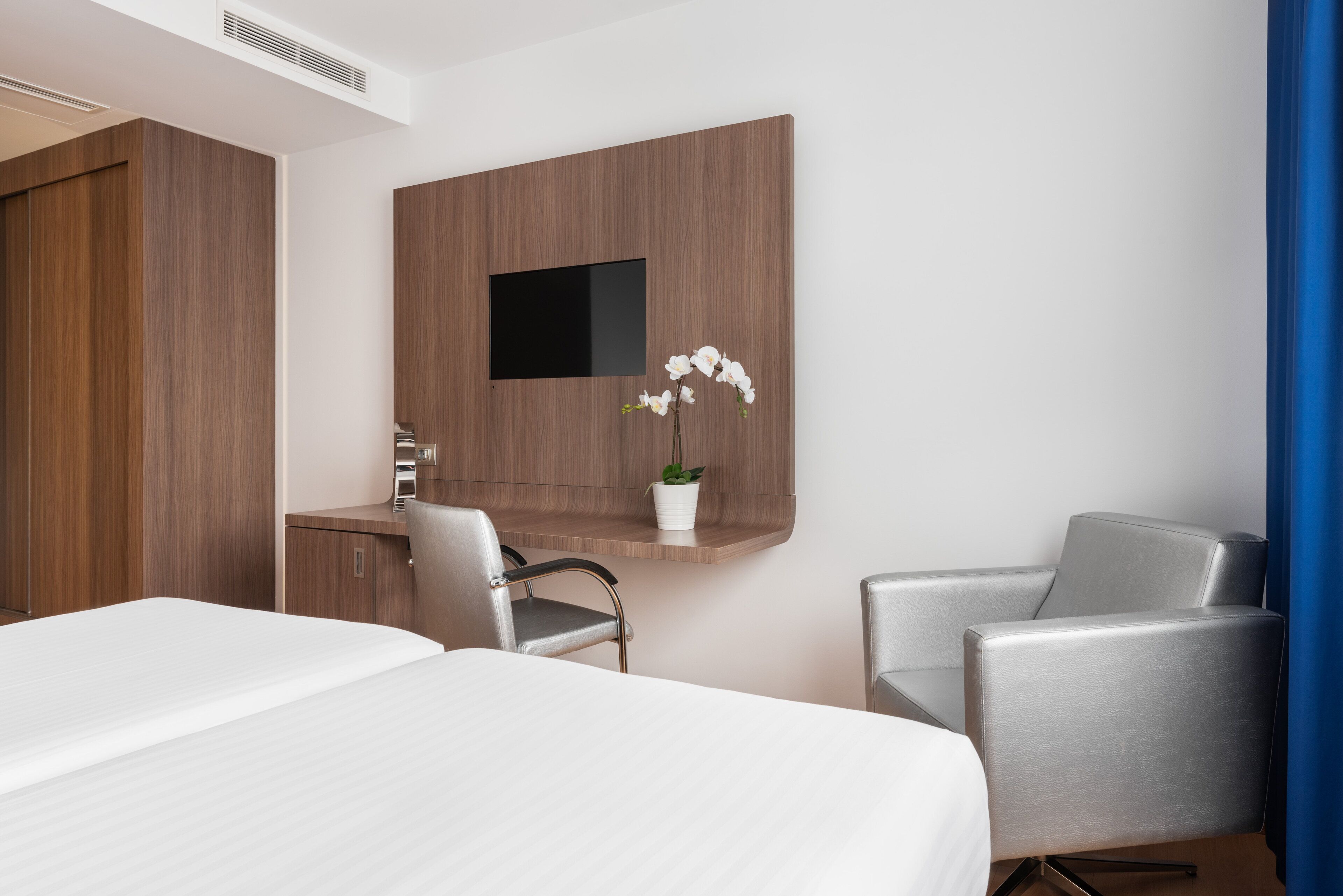 A hotel room with a bed, a desk with a chair, a TV mounted on the wall, and a potted orchid on the desk.