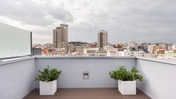 A rooftop terrace with two potted plants, a tiled wall, and a cityscape view.