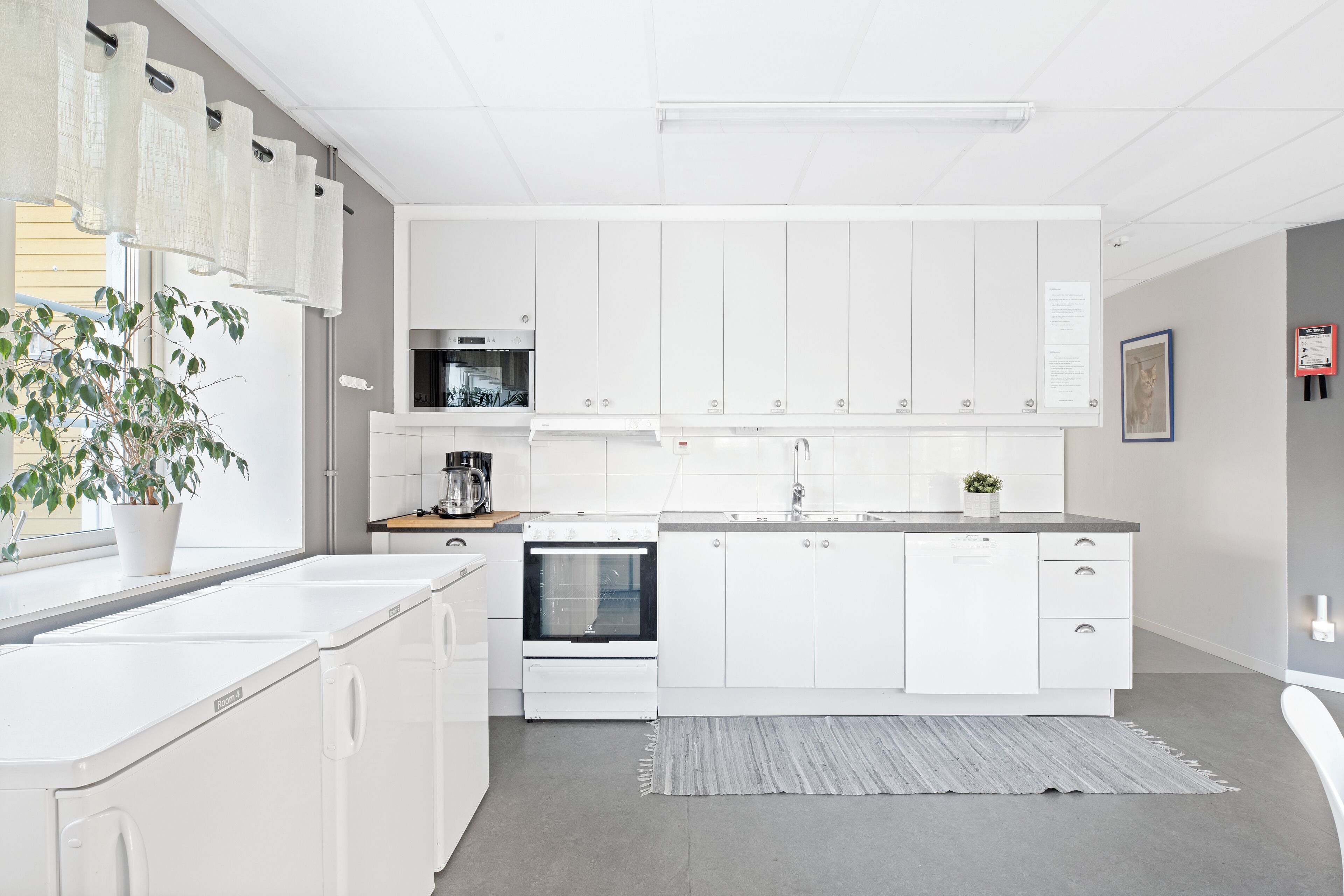 city apartment | private kitchen | full-sized fridge, microwave, dishwasher, paper towels