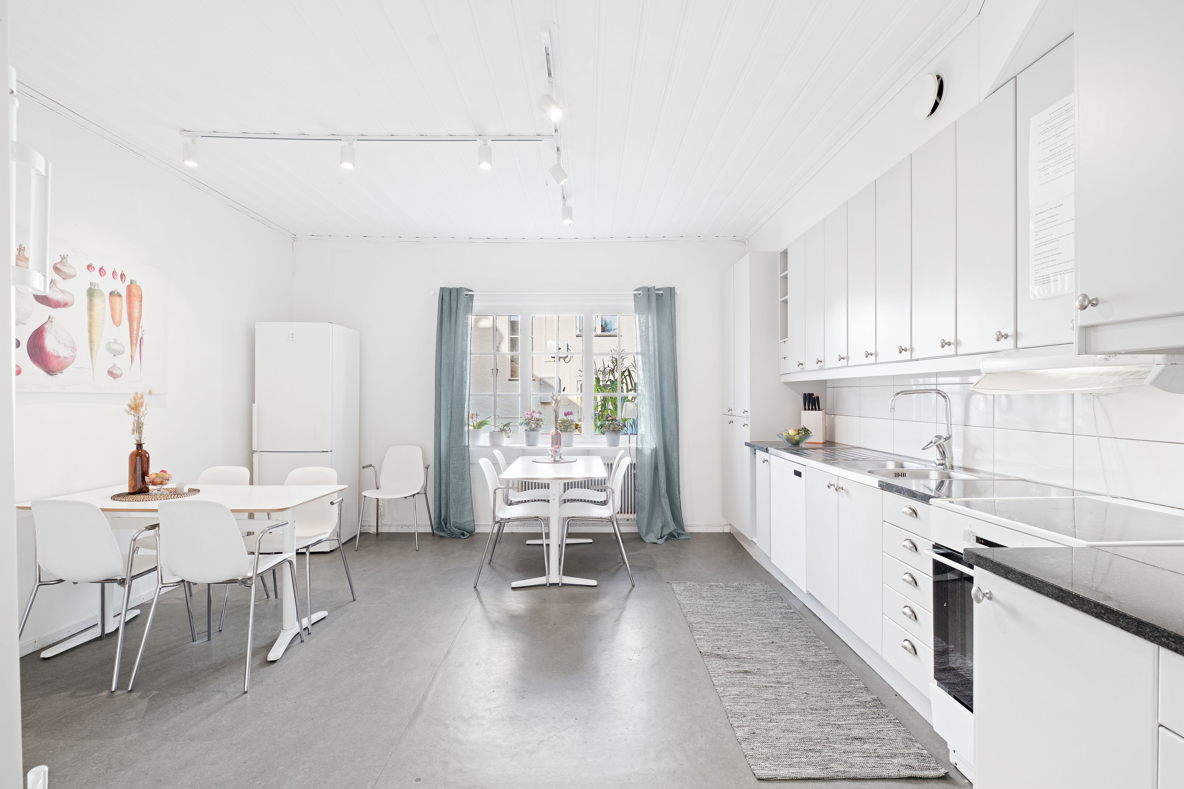 full-sized fridge, microwave, dishwasher, paper towels