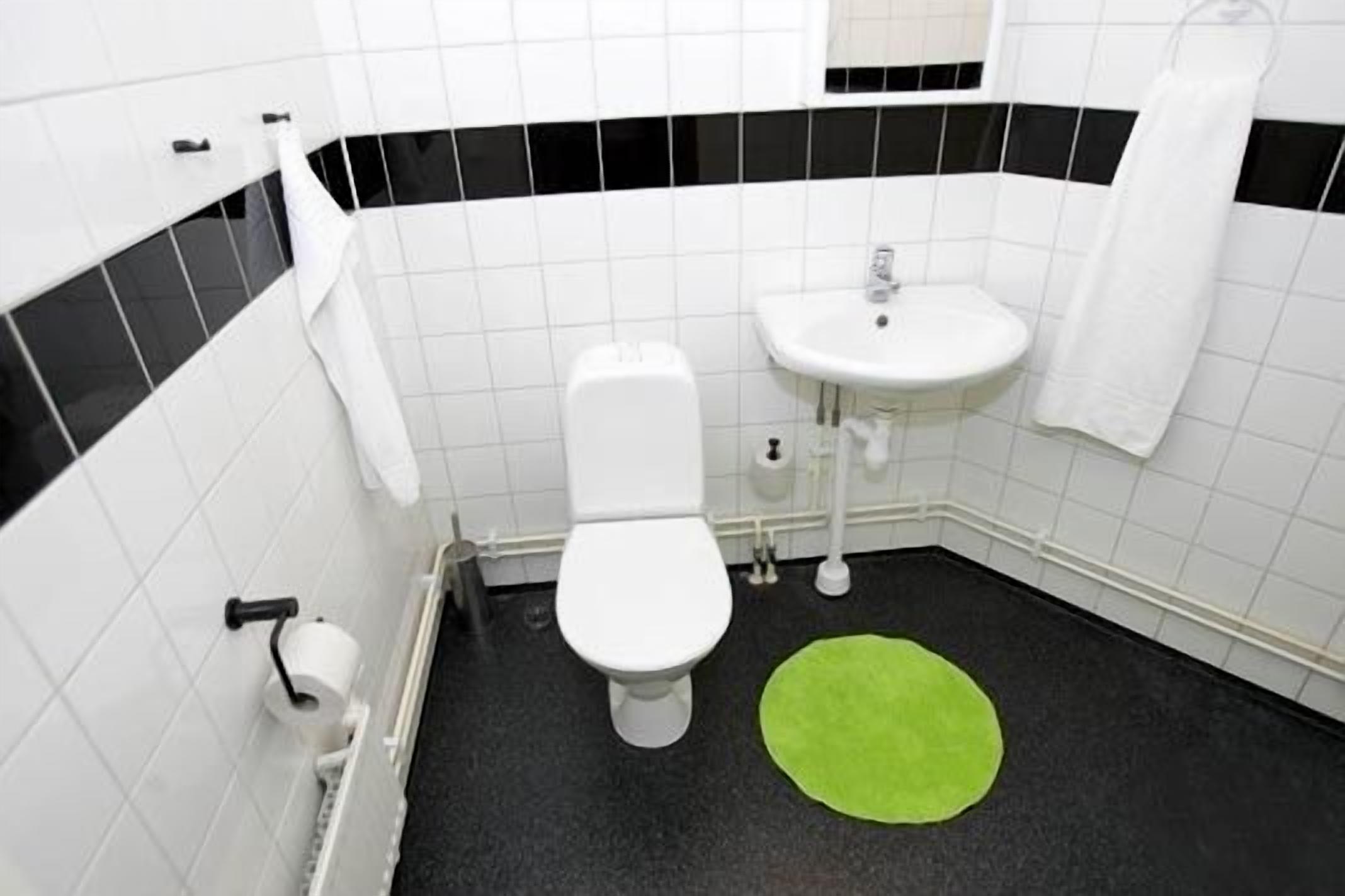 A bathroom with a toilet, sink, and a green rug.