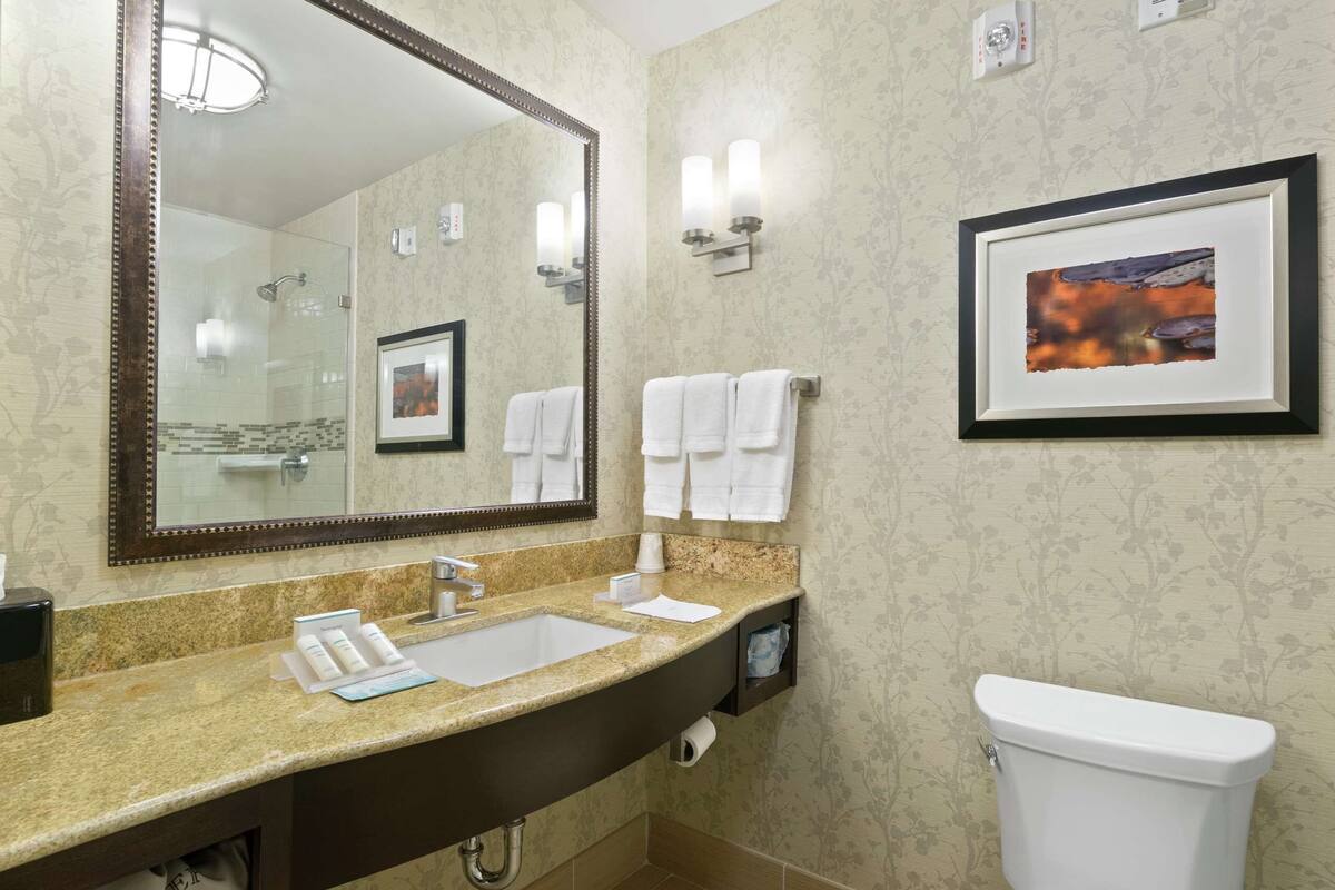 combined shower/bathtub, free toiletries, towels
