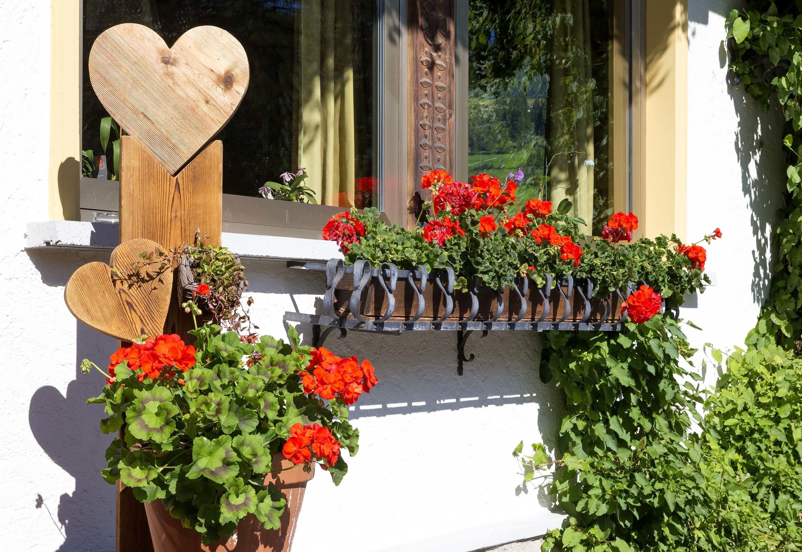 A window with a heart-shaped decoration, a wooden bench, and a metal planter with red flowers.