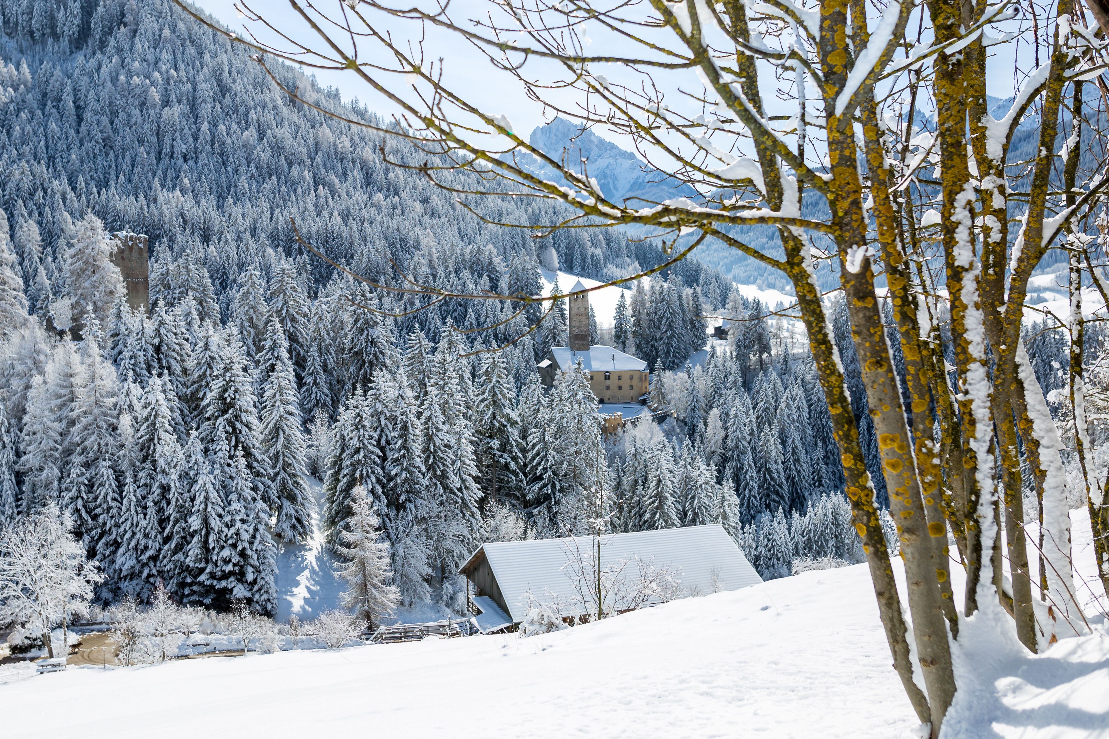 A snow-covered landscape with a mountain, trees, and a building with a sloped roof.