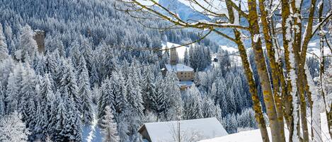 A snow-covered landscape with a mountain, trees, and a building with a sloped roof.