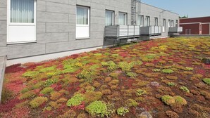 A modern building with a flat roof covered in a variety of colorful plants. - Petul Apart Hotel Residenz (Essen)