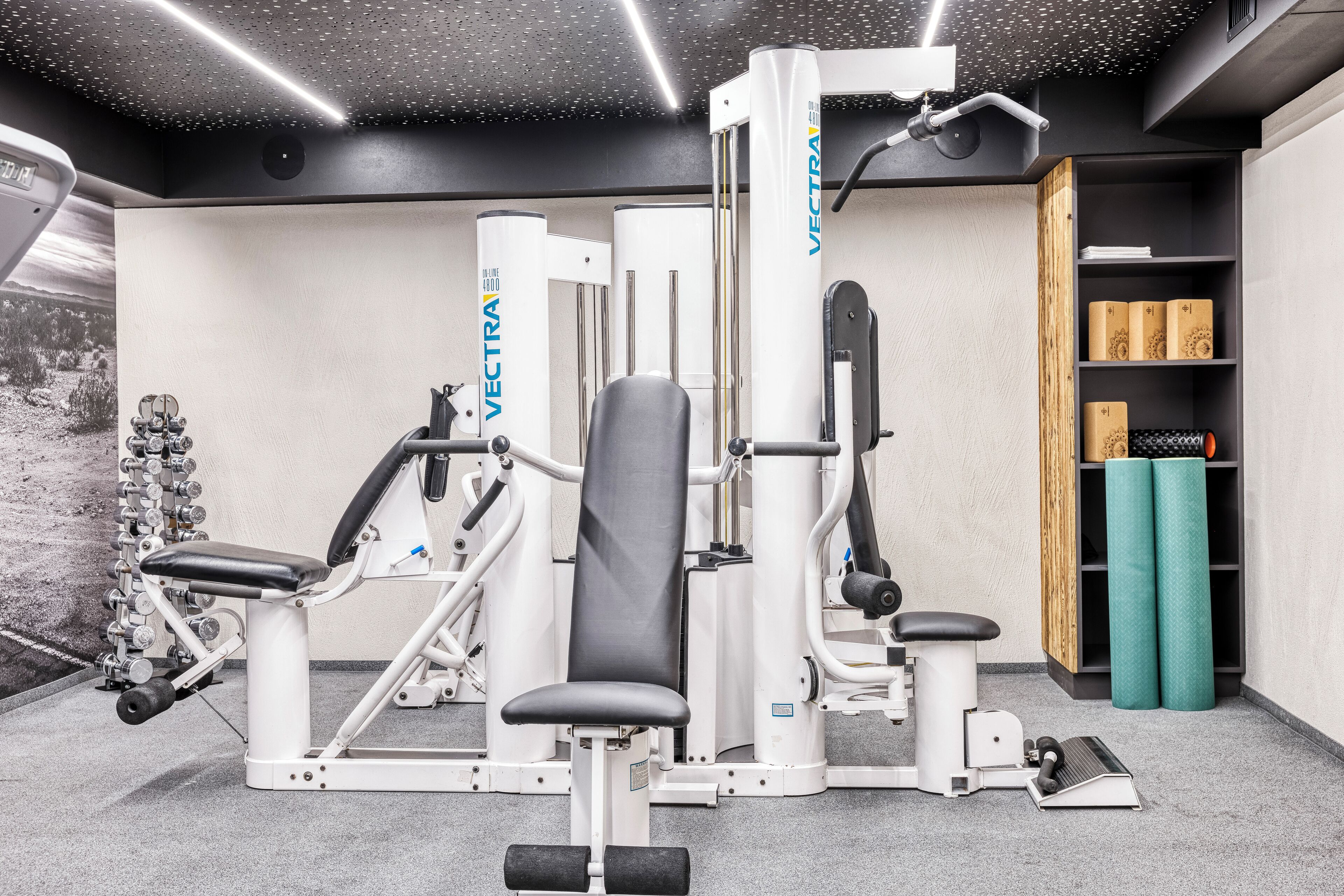 A gym with various exercise machines, a wall-mounted TV, and a wooden shelf with exercise mats.