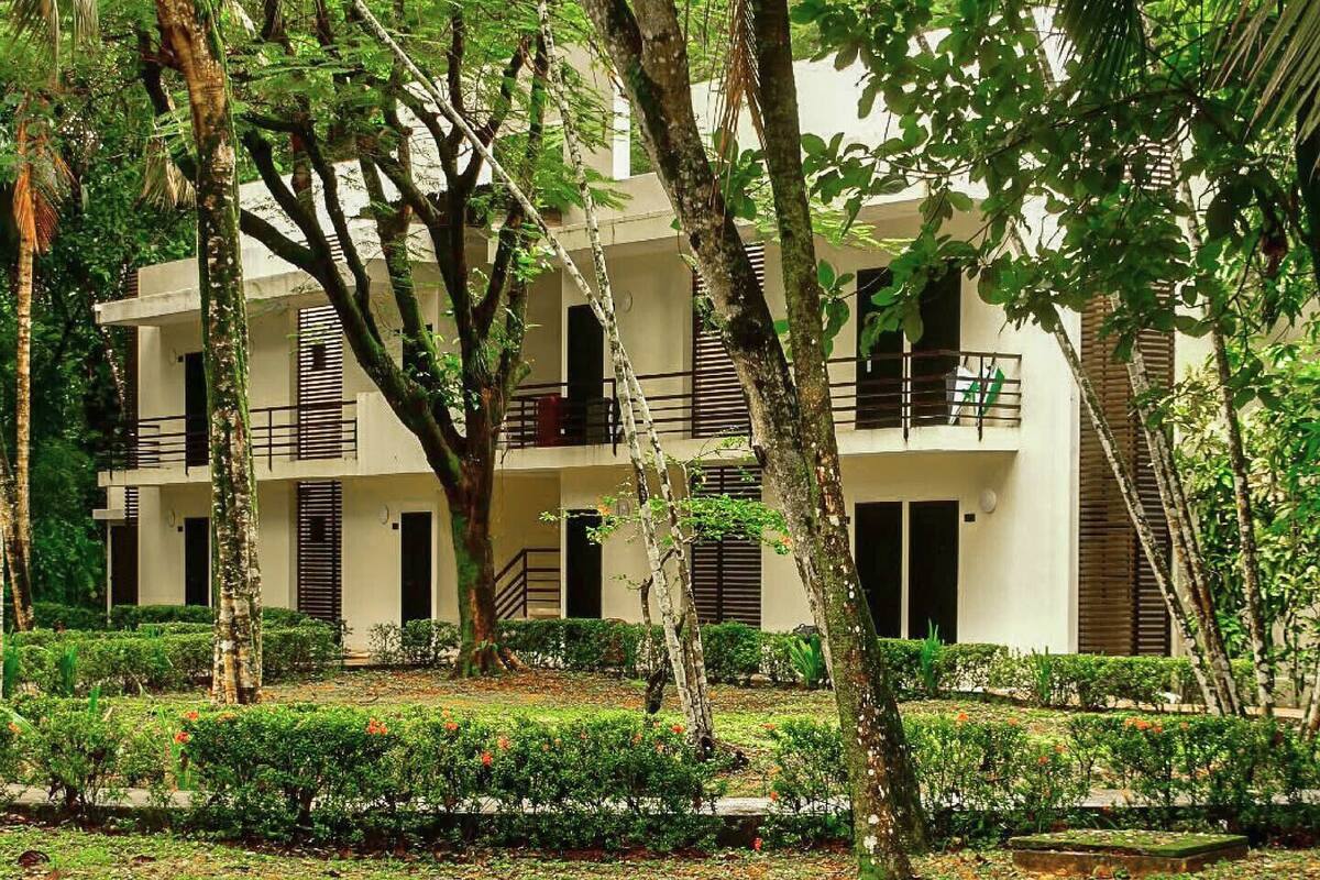 Un edificio de varios pisos con balcones, rodeado de abundante vegetación y árboles.
